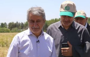 تولید ۹۸ درصد بذر مورد نیاز اراضی کشاورزی در داخل کشور تولید ۹۸ درصد بذر مورد نیاز اراضی کشاورزی در داخل کشور