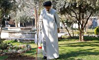 طرح کاشت یک میلیارد نهال یادگاری ارزنده از رئیس جمهور شهید طرح کاشت یک میلیارد نهال یادگاری ارزنده از رئیس جمهور شهید