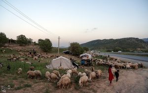 بوم گردی عشایری در لرستان راه اندازی می شود