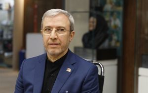 علی قارداشی: پرچمداری کاروان المپیک حق شهسواری بود علی قارداشی: پرچمداری کاروان المپیک حق شهسواری بود