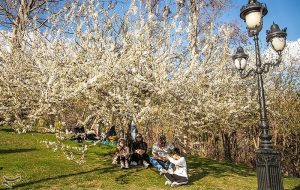 دهکده فرهنگی بسیج دانش آموزی در پارک های بانوان ایجاد می شود