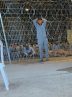 رسانه صهیونیستی شمار فلسطینیان ربوده شده از غزه را فاش کرد