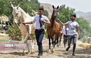 Turkmen horses to compete in sport, beauty festival