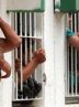 CNN: Whistleblowers detail abuse of Palestinians in Israeli prison