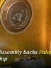 UN General Assembly backs Palestinian bid for membership