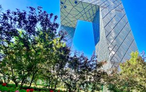 CCTV provides opportunity for foreign journalists to flourish their skills CCTV provides opportunity for foreign journalists to flourish their skills
