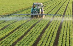 Agriculture Ministry urges Iranians living abroad to invest in extraterritorial cultivation Agriculture Ministry urges Iranians living abroad to invest in extraterritorial cultivation