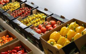 Iran’s agricultural sector to apply ‘metaverse’ to increase productivity Iran’s agricultural sector to apply ‘metaverse’ to increase productivity