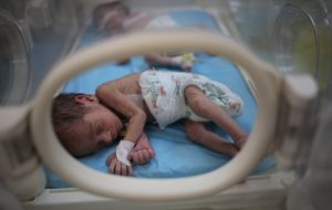 UNICEF: Twenty newborns at risk in Al-Aqsa Hospital UNICEF: Twenty newborns at risk in Al-Aqsa Hospital