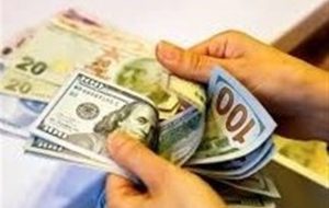 CBI provides over $10b in subsidized foreign currency for imports CBI provides over $10b in subsidized foreign currency for imports