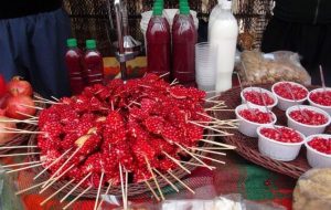 Kermanshah’s tourism to flourish with 30 events Kermanshah’s tourism to flourish with 30 events