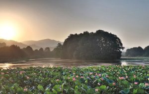 Sustan wetland: Gilan’s human-made marvel amidst nature’s splendor