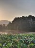 Sustan wetland: Gilan’s human-made marvel amidst nature’s splendor Sustan wetland: Gilan’s human-made marvel amidst nature’s splendor