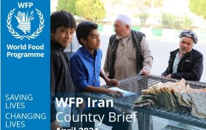 WFP releases April report on Iran  