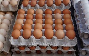 قیمت جدید تخم مرغ امروز ۲۵ اردیبهشت ۱۴۰۳+ جدول قیمت جدید تخم مرغ امروز ۲۵ اردیبهشت ۱۴۰۳+ جدول