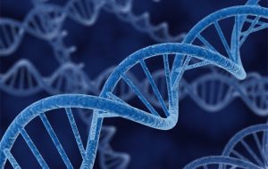 واکنش پزشکی قانونی به چرایی تاخیر در اعلام آزمایشات “DNA”