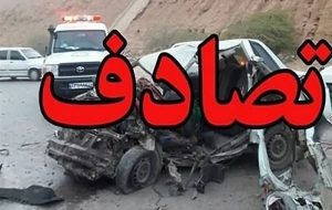 پای “همستر” به تصادفات رانندگی هم باز شد/ هشدار پلیس پای “همستر” به تصادفات رانندگی هم باز شد/ هشدار پلیس