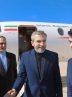 باقری: در ادامه دیپلماسی فعال در نشست دی هشت شرکت می کنیم باقری: در ادامه دیپلماسی فعال در نشست دی هشت شرکت می کنیم