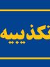 تکذیب اعلام نتایج صندوق های خارج از کشور
