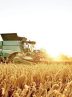 Agricultural exports up $1 billion in one year