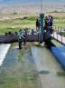 Turkiye stresses Iran’s right to share Sarisu River: Iranian official