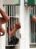 Allegations of abuse of Palestinian prisoners in Israeli detention facilities