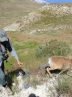 ‘Ranger Day’ on national calendar