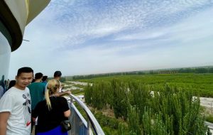 Desertification project in Xinjiang astonishes foreign media Desertification project in Xinjiang astonishes foreign media