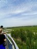 Desertification project in Xinjiang astonishes foreign media Desertification project in Xinjiang astonishes foreign media