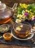4th Persian Medicine Festival slated for Jan.-Feb. 2025 4th Persian Medicine Festival slated for Jan.-Feb. 2025