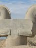 Discoveries challenge myths about griffins Discoveries challenge myths about griffins