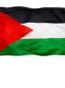 Palestine calls for Arab League extraordinary meeting