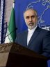 Iran condemns insults to Iranian voters abroad