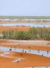 Five wetlands in Qom on natural heritage sites list