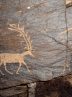 Ways to protect Teymareh petroglyphs discussed