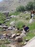 حفظ و احیاء مراتع در گرو مشارکت همه مردم