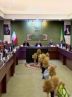 انتقاد مدیر اجرایی اتاق اصناف کشاورزی ایران از شورای قیمت گذاری