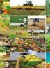 مشارکت ملی لازمه اجرای الگوی کشت موفق مشارکت ملی لازمه اجرای الگوی کشت موفق