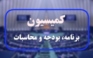 نشست کمیته اجتماعی و فرهنگی کمیسیون بودجه با مسئولان دولتی