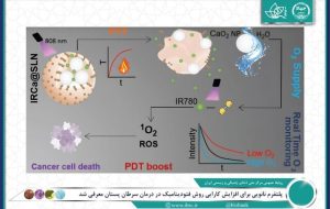 معرفی پلتفرم نانویی برای افزایش کارایی روش فتودینامیک در درمان سرطان پستان