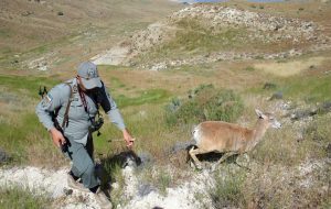 Ranger Day registered on national calendar