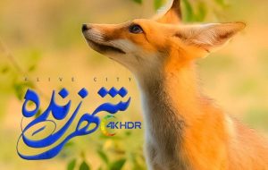 تنوع حیات وحش، بیخ گوش مردم پایتخت!