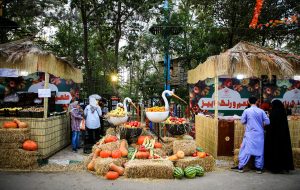 “Flavor and color of fall” on display