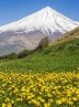 10 interesting facts about the mountains of Iran