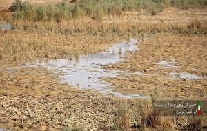 Water scarcity haunting Hour al-Azim