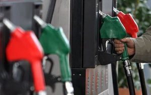 Average daily gasoline consumption rises 7%