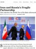 ‘Fragile’ or resilient? – Tehran Times