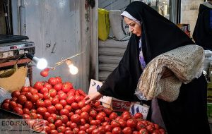 تورم ۲ کالای خوراکی در مرز ۱۰۰ درصد+ نمودار