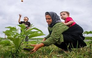 All rural women heads of household under coverage of insurance