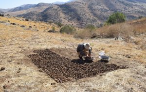 Archaeologists uncover ancient iron production site south of Lake Urmia